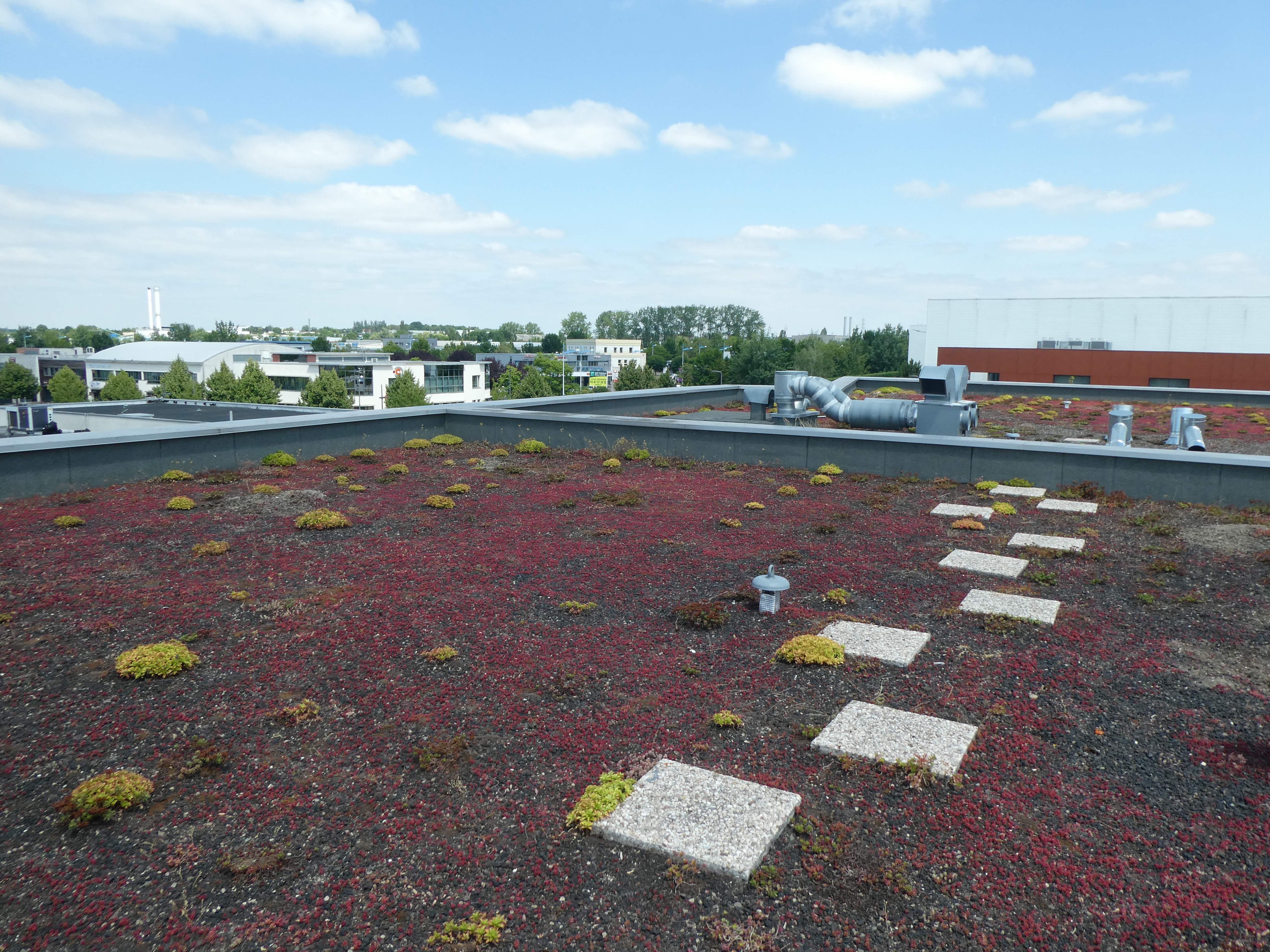 Assèchement toiture terrasse, Calio recherche de fuites, intervient en France